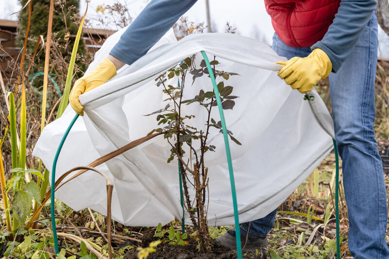 Raintime Anleitung Einwinterung der Gartenbewaesserung